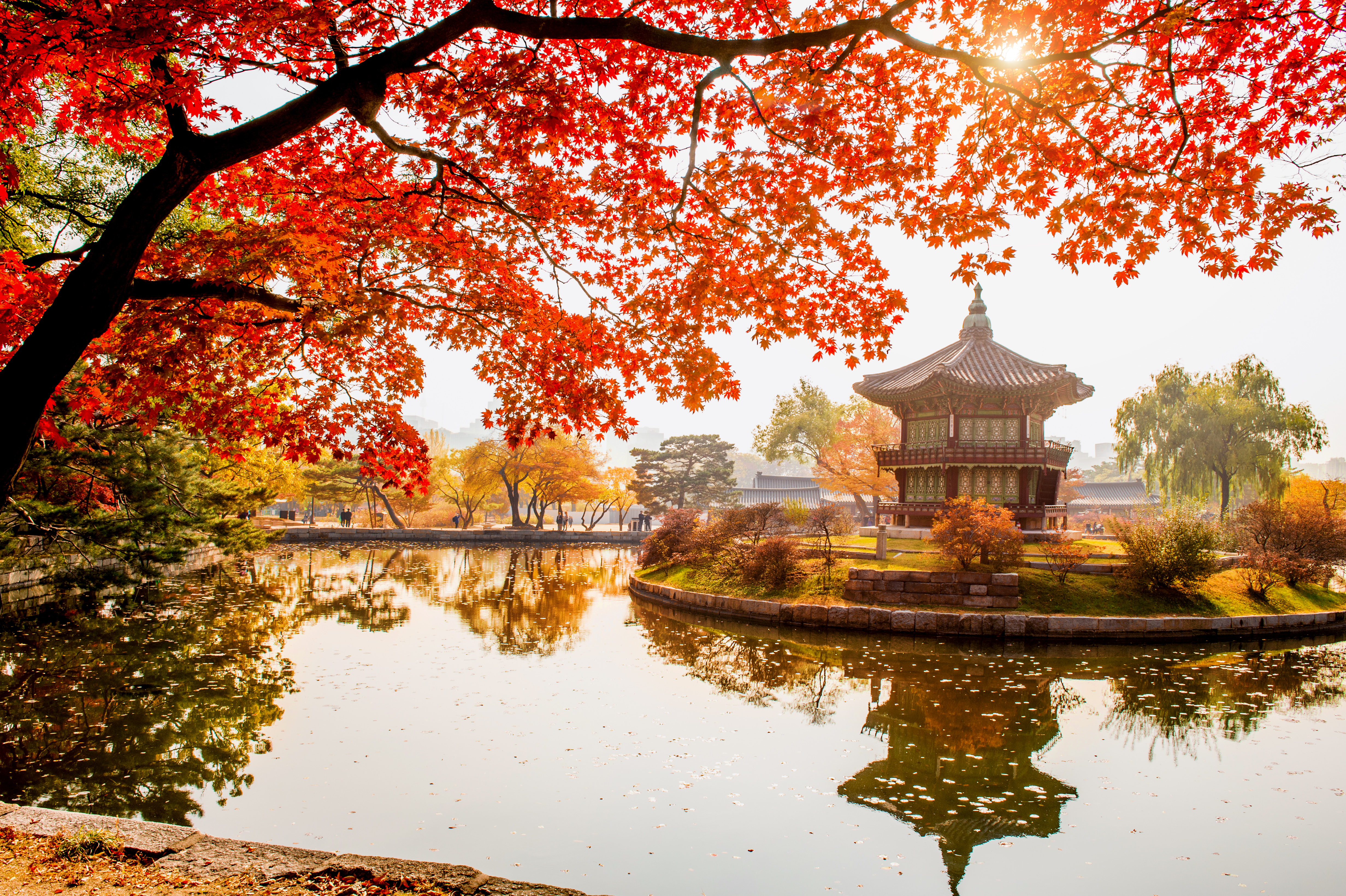 Featured Scenic Photo