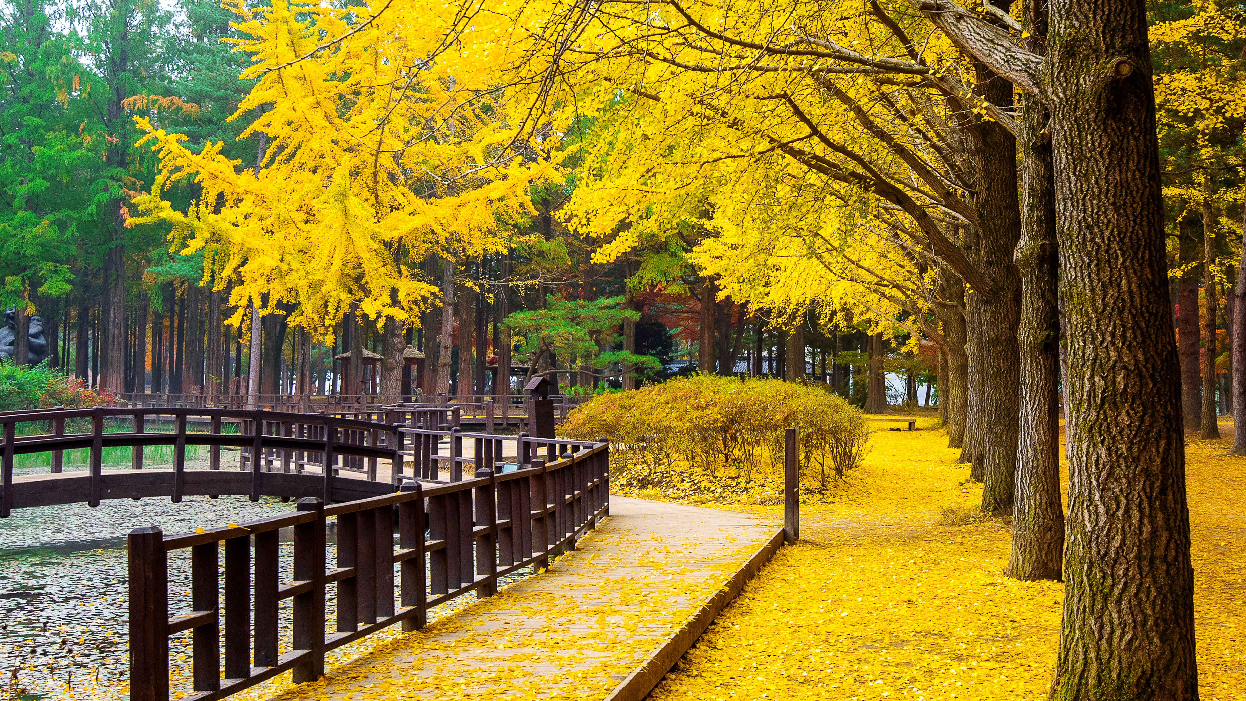 Featured Scenic Photo